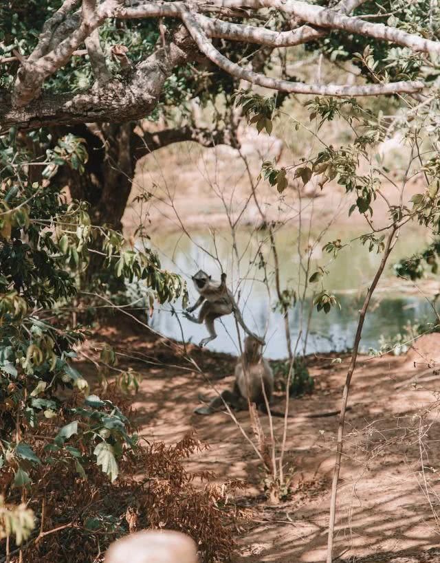 斯里兰卡 必做的十件事