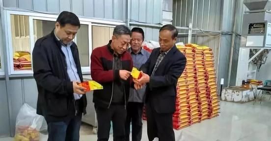 成安:科技让种田变得更轻松
