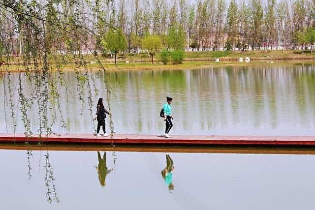 三月春暖花开,又到了寻花问柳的季节!