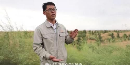  【标本】10秒钟就能种下一棵树 中国的治沙模式成世界标本