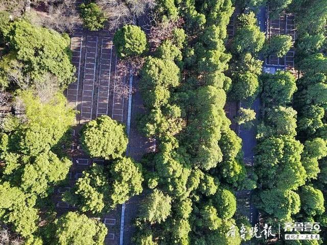  #烈士#航拍济南英雄山，烈士陵墓区安静肃穆