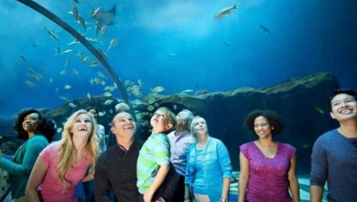 全球最大的水族馆,为保护海洋生物,游客进入需要严格的安检!