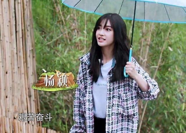 杨颖参加综艺节目再招黑，网友说她替节目组背了一个锅，真相是？