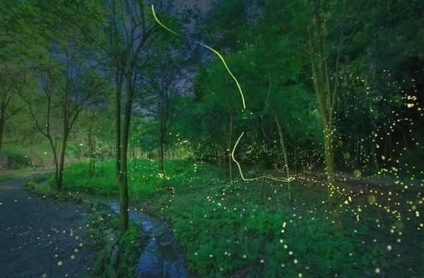 在重庆其实网红景点只是冰山一角