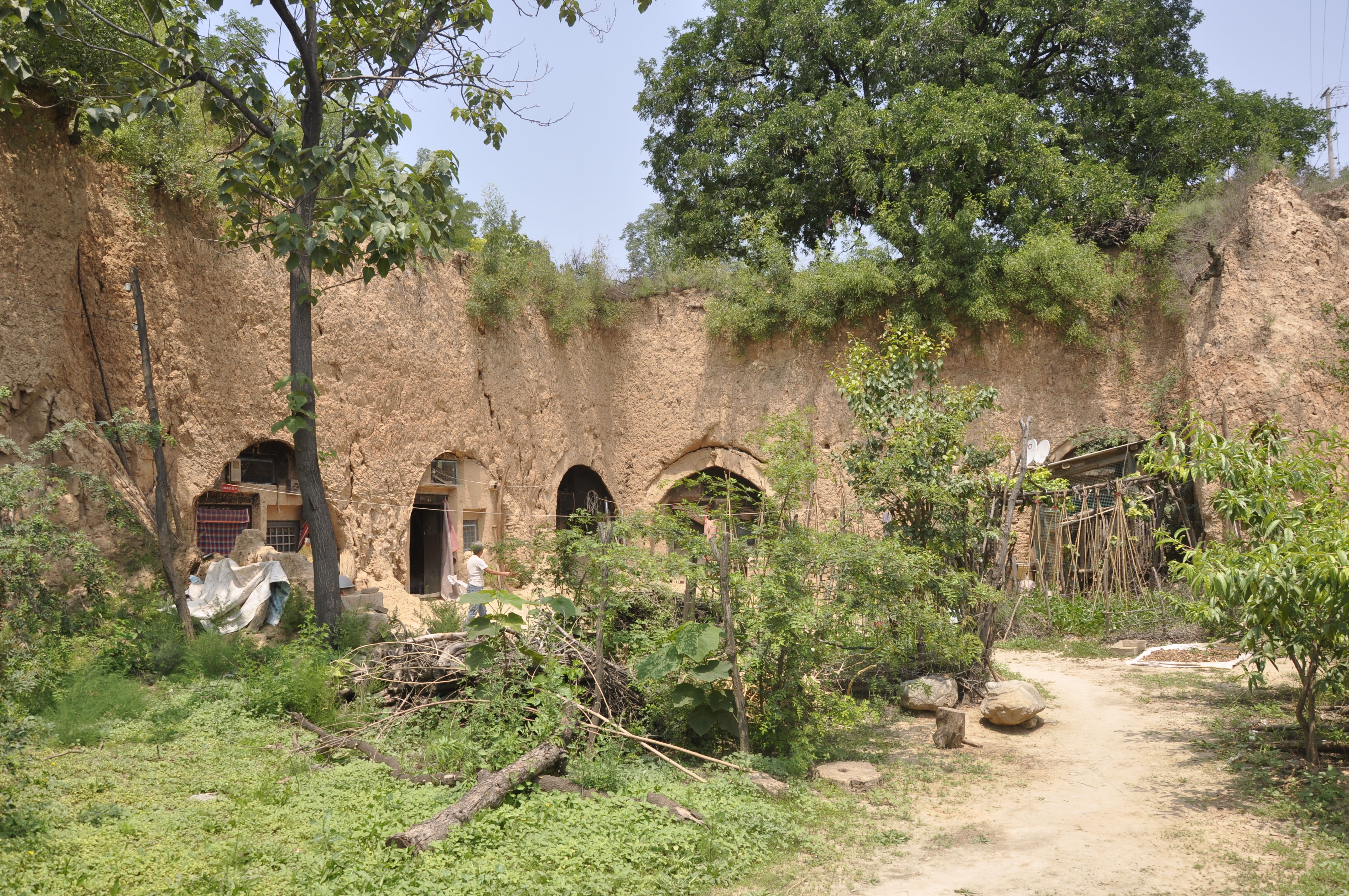 晋南一位6旬大叔年轻时用了一头牛换回来个媳妇，听大叔怎么说