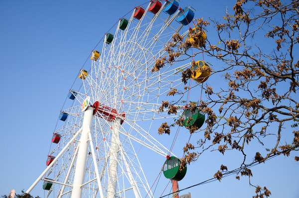 中国广场数量最多的城市,现有102座广场,被誉为北方明珠