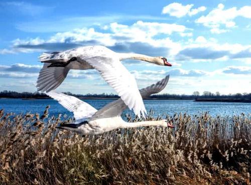 大自然就像一个设计师，这么有灵性的景色，值得我们踏遍千山万水