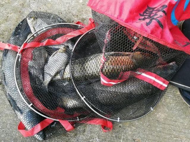 老渔民说漏:春钓鲫鱼别钓浅水!原来这两钓点才是“鱼窝子”