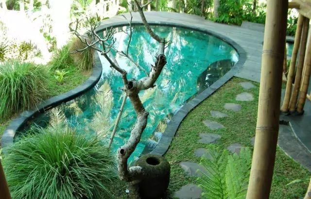 她用竹子建了一个别墅，引来全世界40多个国家围观！