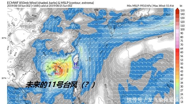 11号白鹿类似台风天鸽超级计算机有苗头但不确定，华南要注意