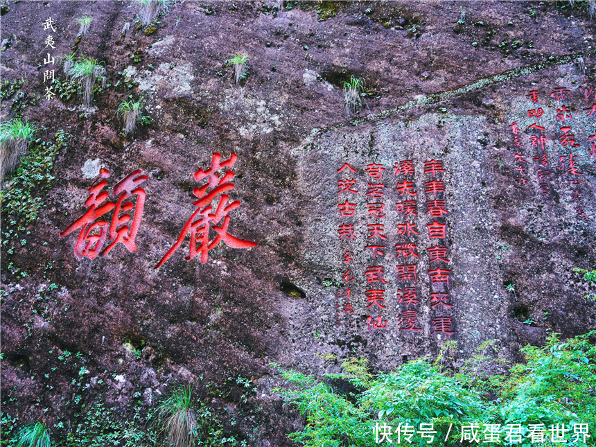  【派兵】福建武夷山最有名的三棵树，不仅派兵专门看守，还投保了一个亿