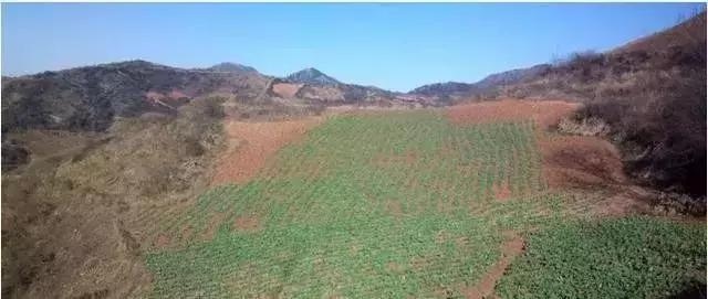  耕地■农村未来将实行“一户一田”政策，你怎么看？