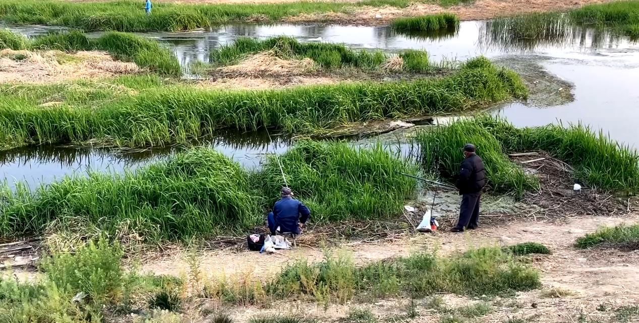  夏季■夏季要想鱼获好，学会“钓草”少不了，短竿也有钓草的绝招