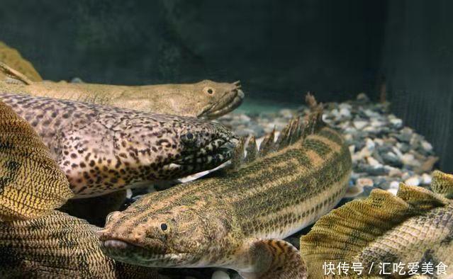 腾出■买了两个超大困水桶,能装五百斤水,腾出鱼缸饲养中大型观赏鱼