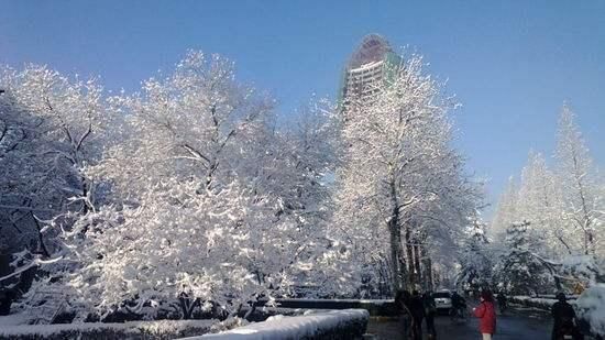 又要下雪了！本周二、周四京城或再迎降雪