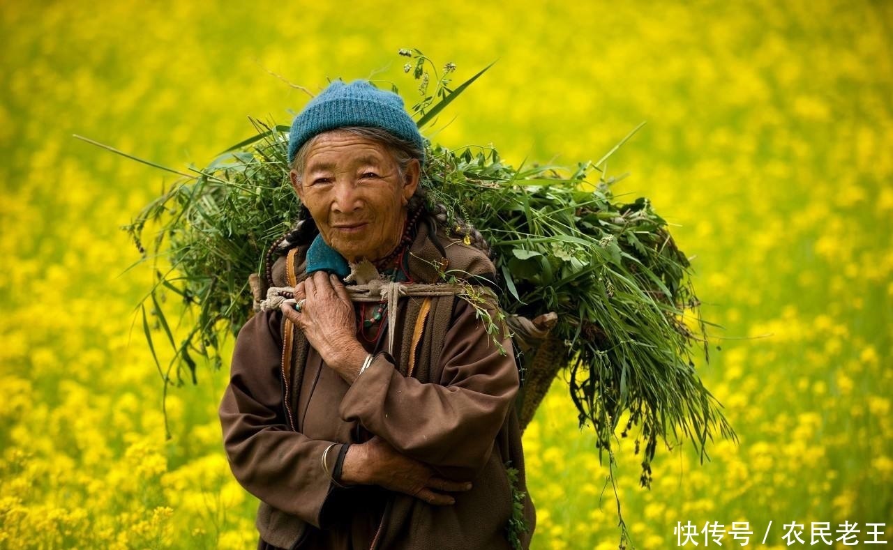 农村老俗话：东首贫穷，西首富，南首富贵，北首亡，啥意思？