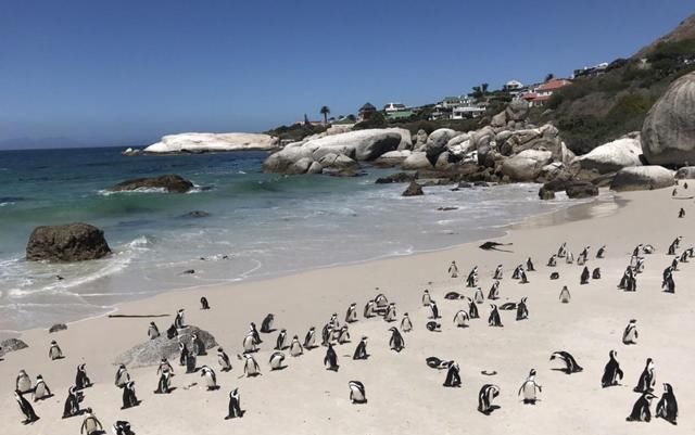 非洲最发达的国家，一个国家三个首都，被誉为彩虹之国，还有企鹅