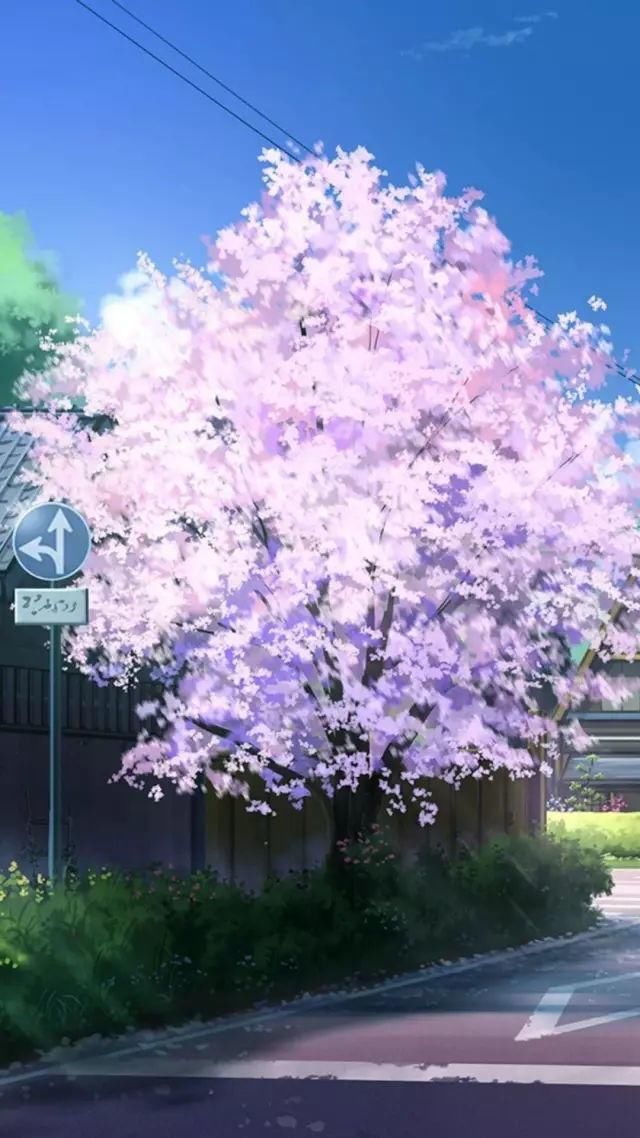 轻微课网校比较好的日系漫画培训机构有哪些?