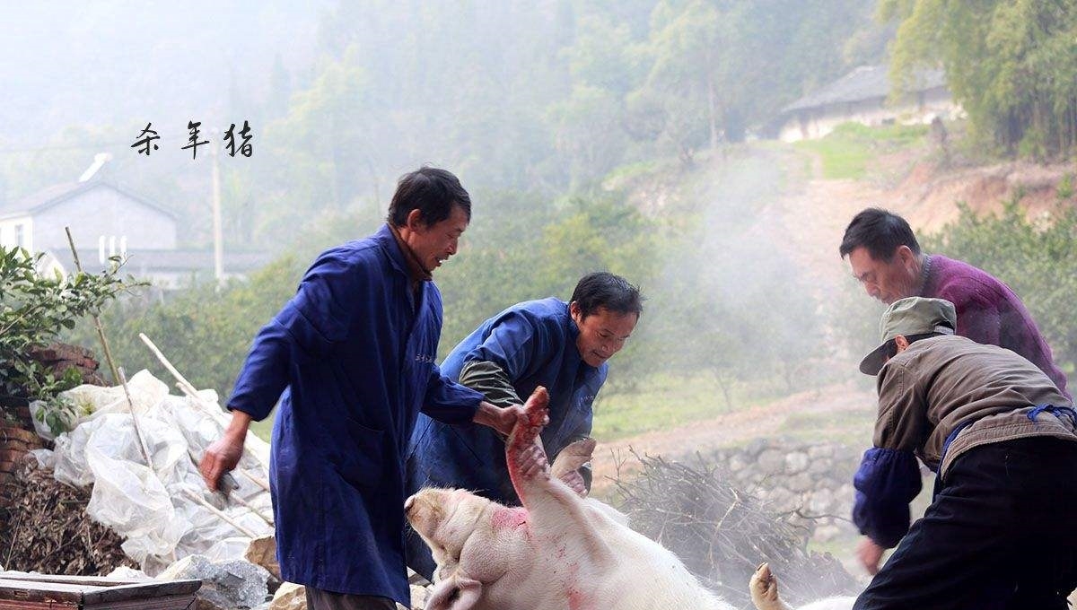  【六十岁】在农村，一些屠夫明明很壮实，为啥到了五六十岁，说没就没了？