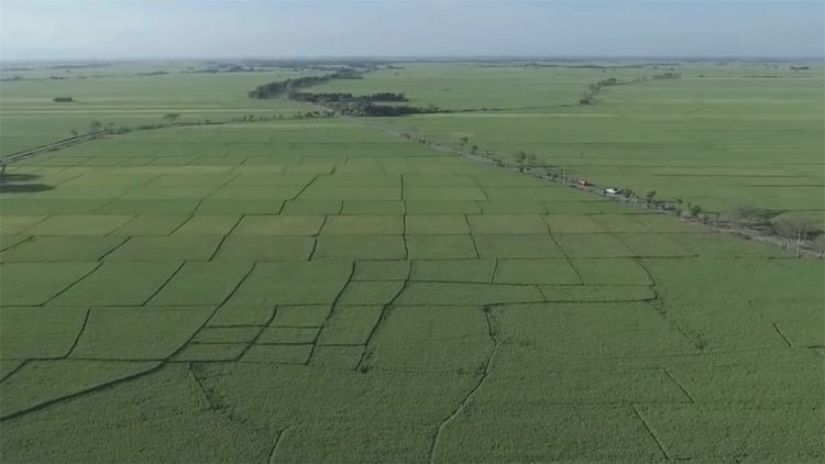  民间|民间牛人发明“手摇式”插秧机，不用油不用电，200元造一
