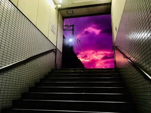  强台风|日本全国警戒！“最强台风”或造成8000伤亡，日本岛能否