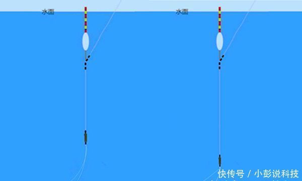  「黑坑」黑坑“偷驴”滑口鱼，试着这样来应对，效率超高，中鱼率有保证