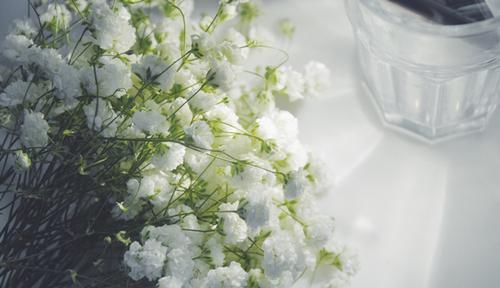  【盘点】盘点自然界中纯洁干净的白色花卉，洁白无瑕，有些还芳香四溢！