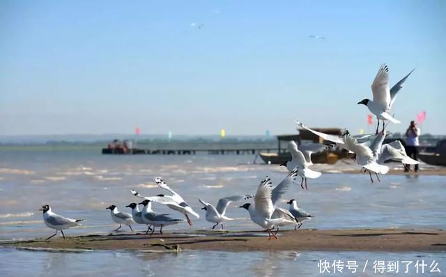 中国最大的沙漠湖泊,有七条河流注入,是当地最大的内陆湖