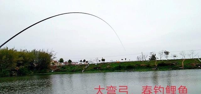  双钩■拉饵调三钓三 双钩什么状态?