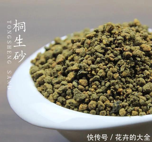 【多肉的时】多肉“铺面”的那些事儿