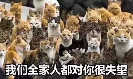 告别游客照! 如何在热门景点拍出“空无一人”的感觉?