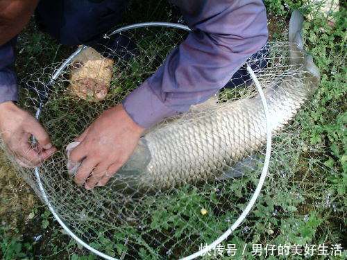 夏季钓鱼用蚯蚓,几个聪明人的秘密技巧,掌握