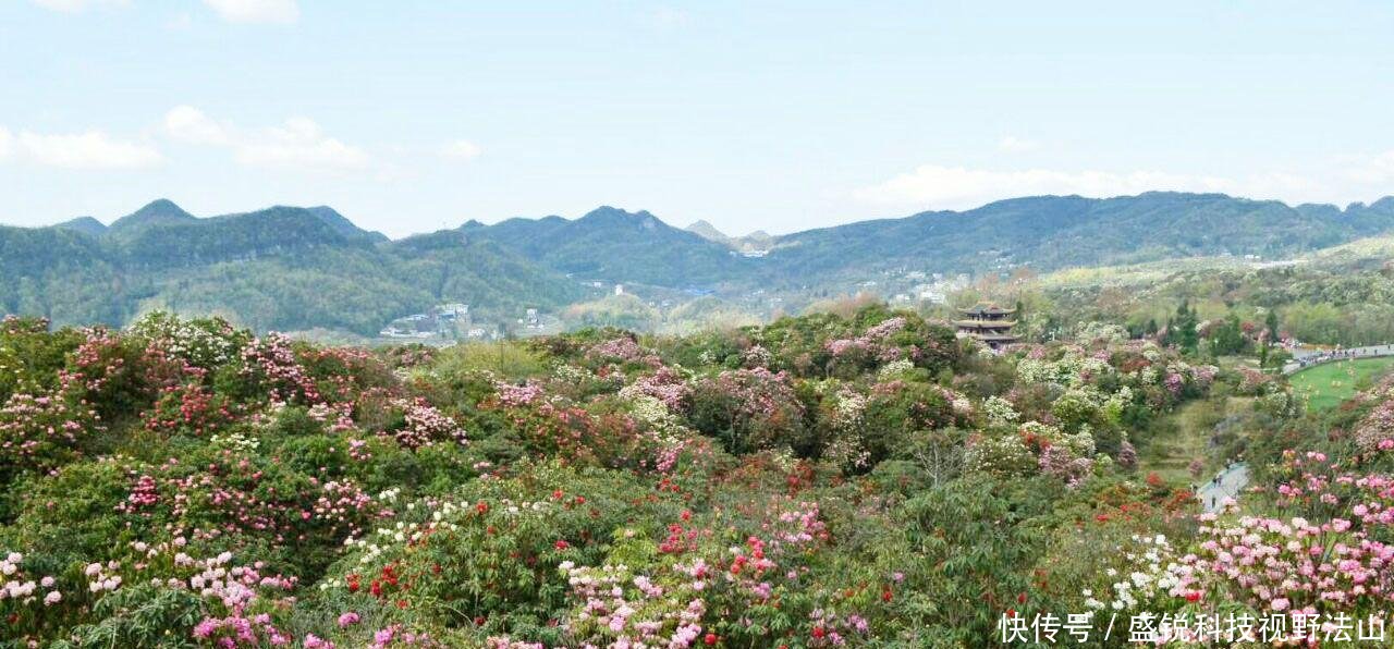 贵州又一景区火了，号称“世界上最大的天然花园”