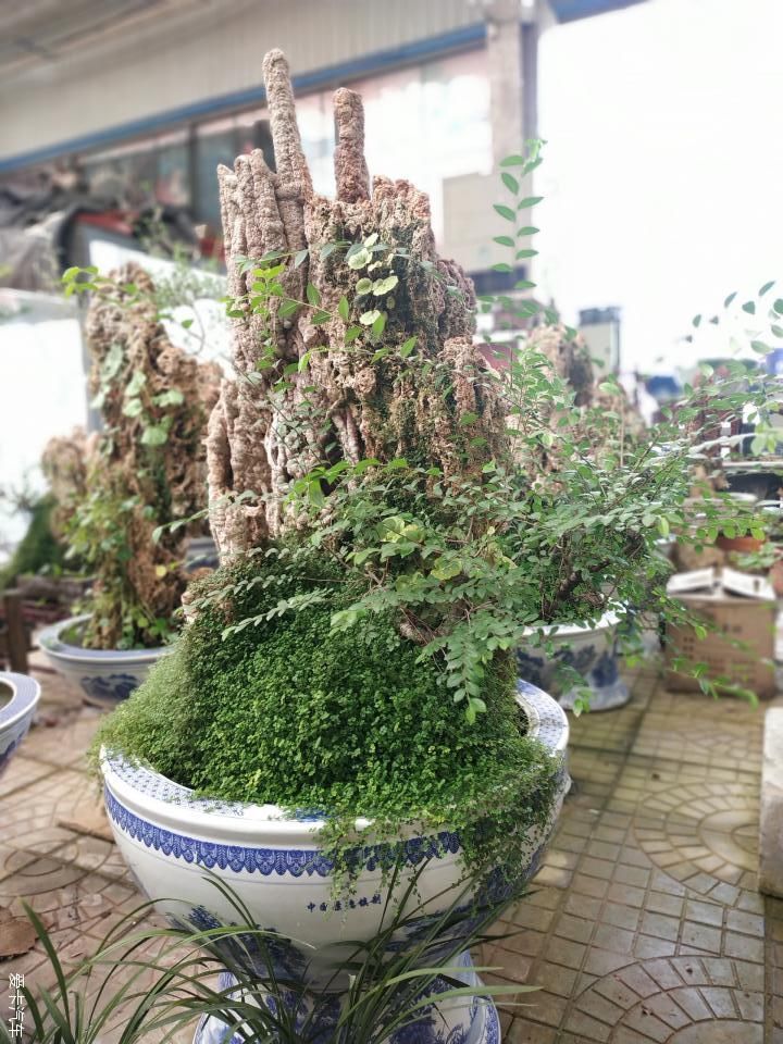 『色彩纷呈』【4月，你好】花花世界 色彩纷呈 赏心悦目