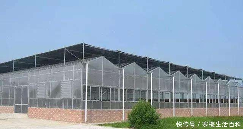  「大棚」大棚房只能等着被拆？符合这些条件的，村干部来了也拆