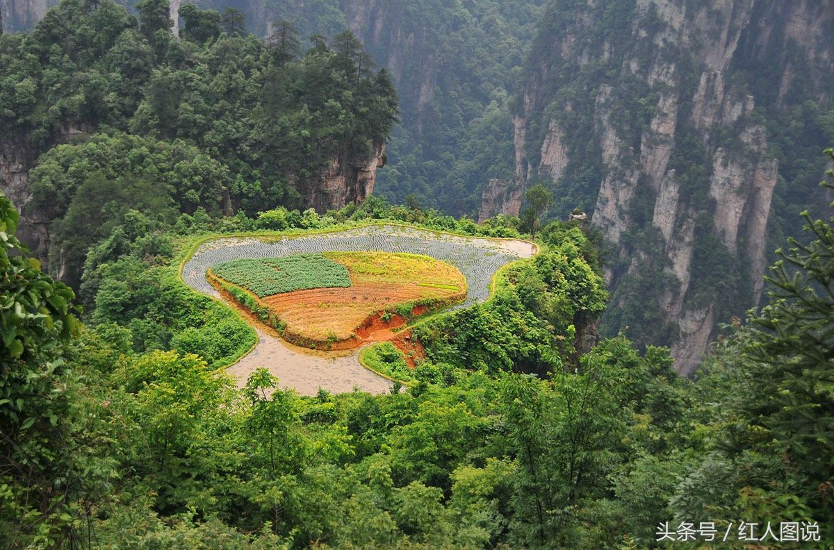 世界上最险的一块“空中稻田”:位于万丈高峰顶上，就在中国