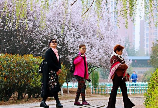 三月春暖花开,又到了寻花问柳的季节!