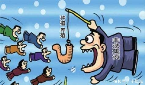  致富经■致富经变“致负经”，为啥电视上养啥啥赚钱，农民养啥