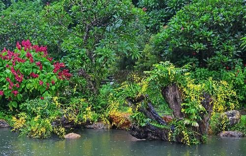 广西南宁城中心的5A景区，门票仅20元，你看这算不算最良心票
