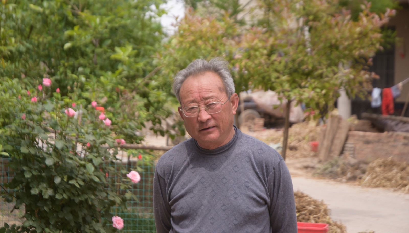  作物|曾经让农村人羡慕的作物，生长期为4年，如今越长越不值钱