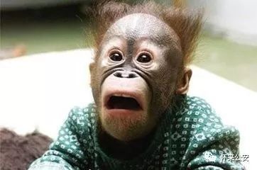 张家口|网上编造“6.25怀来县8号桥交通事故造成17人死亡”虚假信