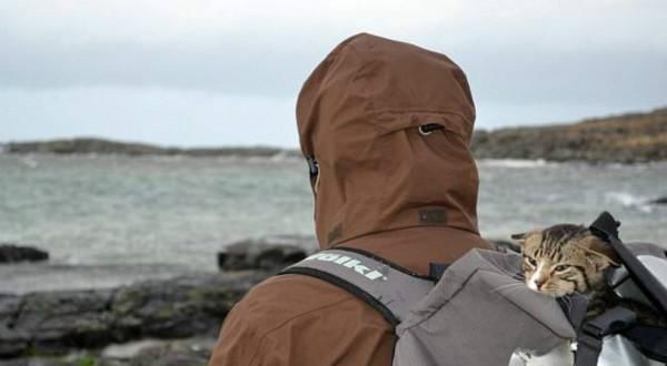 出门旅行, 为什么聪明的人从来不带拉杆箱, 看完长知识了