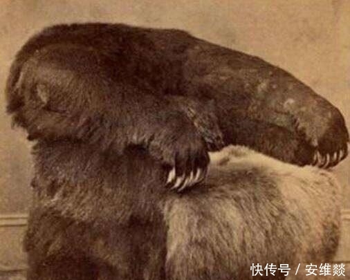  [老照片]八张罕见珍贵老照片, 倒数第二张引起所有人公愤！难道背后隐藏了什么秘密？