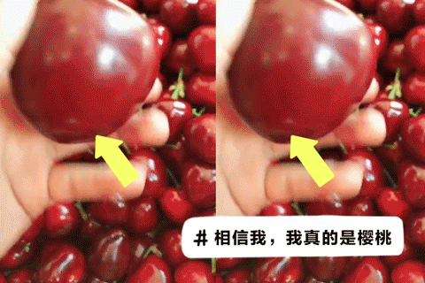  山东的蔬：浩克山东丨山东“巨型食物”之谜