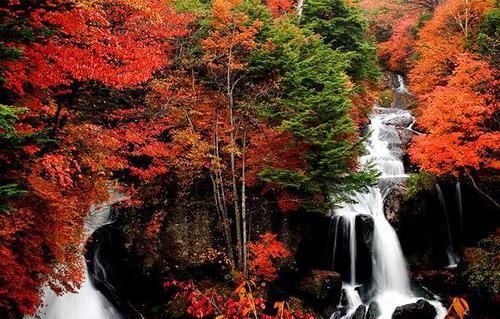 日本人都盛赞的日光绝景，究竟有多美？没来过就等于白去了日本