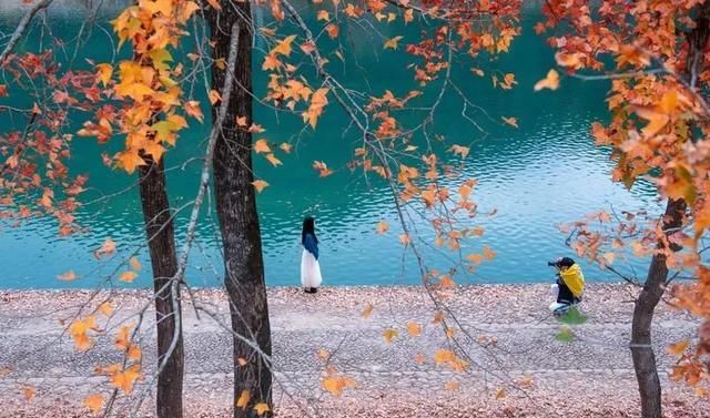 如何摄影如何摄影