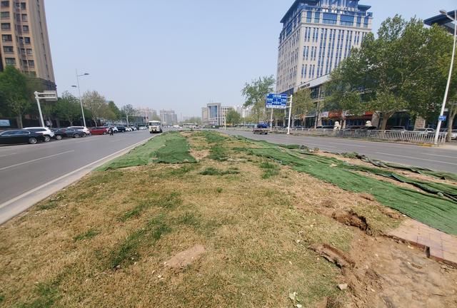  龙子湖站■来了，郑州又一条地铁新线，马上开建？