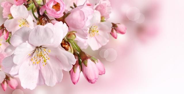  「十全十美」2019退休族新标准，你达标了吗？