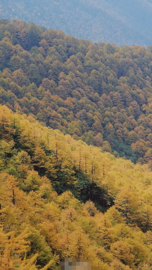 陕西国庆最冷清景点，是5A级景区，还是长江与黄河的分水岭！