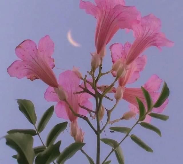  色彩■今年春夏超时兴的4组颜色，穿没错巨显白巨显贵！